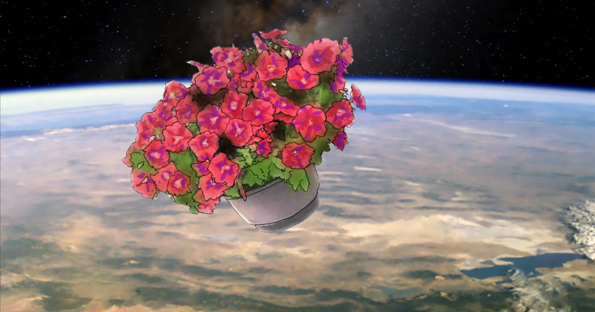 Icon for bowlofpetunias.net